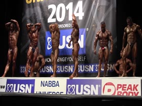 ROIDGUTTED MUSCLEBULL #94