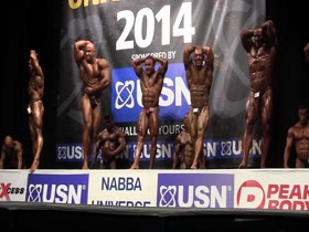 ROIDGUTTED MUSCLEBULL #94