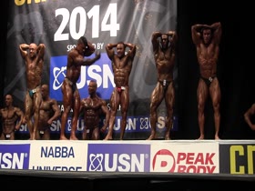 ROIDGUTTED MUSCLEBULL #94