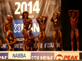 ROIDGUTTED MUSCLEBULL #94