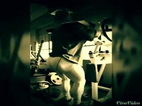 Tim's  Favorite Exercises