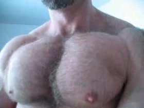 hairy pecs & nipple play
