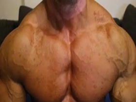 muscle beast pec bounce