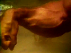 Thumb 1