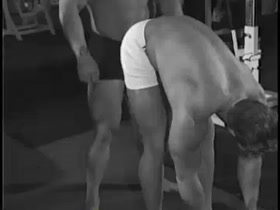 muscle