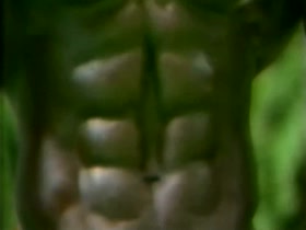 Chuck & Charlie Oil Pump and Flex