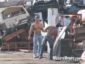MUSCLE / MUSCLE !