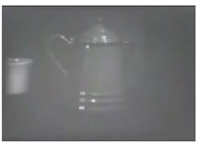 AMG Style Muscle Worship