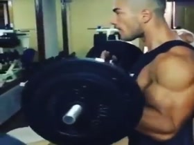 biceps