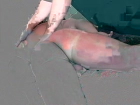 Bubble Butt Justin gets serviced