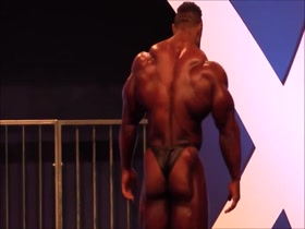 MR. WINKLAAR - 2016 !