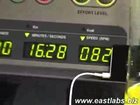 Stefan Havlik in the gym