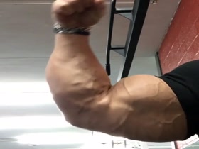 Shawn Smith bicep