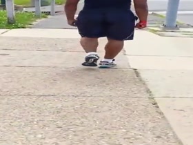 Giant Donkey Down The Street