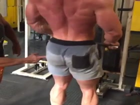 Muscle Workout