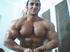 MUSCLE BULL !
