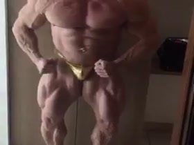 Muscle Land of Muscle
