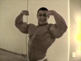 Iana muscle bull