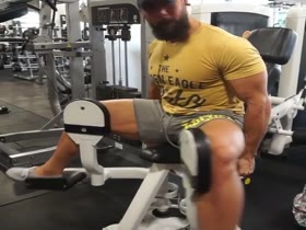 Bulge