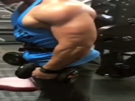 Biceps training