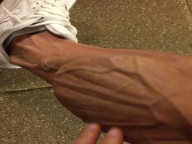 Veiny Calf Porn