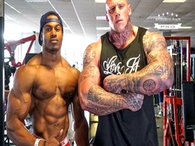 Muscle Of Muscle