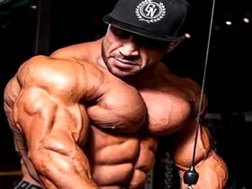 Muscle Explore