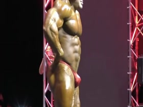 HOT BODIES !