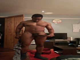 Arteo aka Amadeus ...