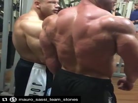 Big Muscle