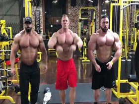 Muscle Show