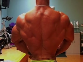 Nice pecs