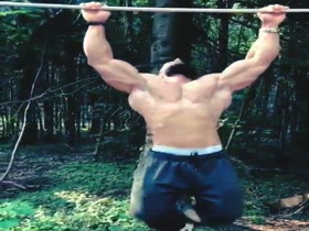 Muscle