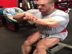 Legs