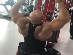 The Arabian Stallion Works Out