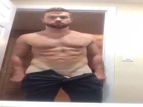 The Reveal