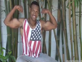 Dariux - the best of IS