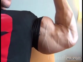 Bicep Lovers Rejoice