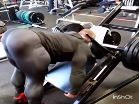 MONSTER QUADS