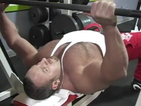 muscle bear at the gym