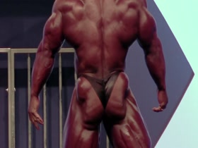 MUSCLEGODS MUSCLE BUTTS