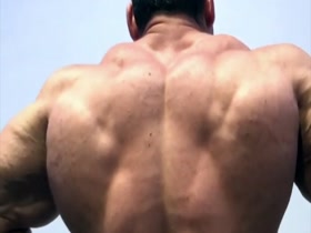 ROMANIAN MUSCLE