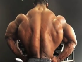 MASSIVE BACK