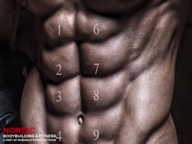 Ten abdominal muscles