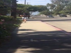 Free Walking