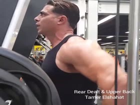 Tamer Elshahat - Rear Delt & Upper Back Training (2017)
