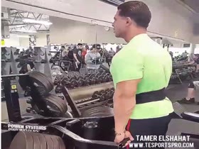 Tamer Elshahat - Shrugs (2017)