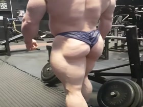 Big bull turned on by his own muscles