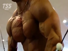 Thick slabs of huge swollen and bouncing pecs