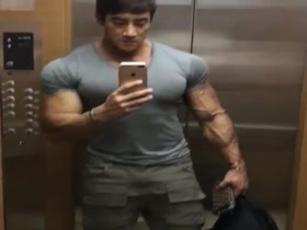 Vascular Arm Display